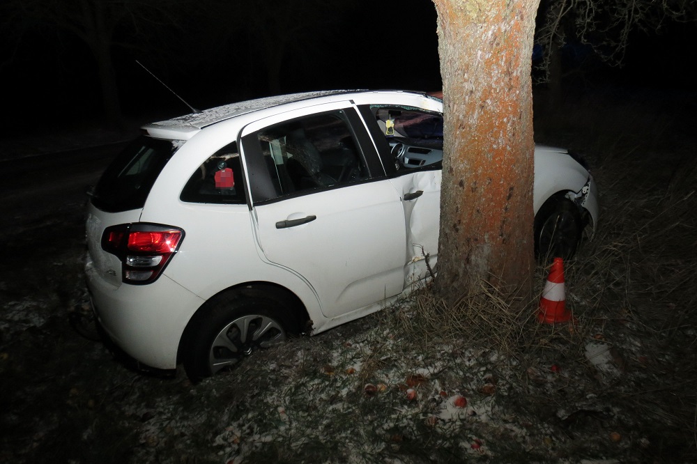 DN u Vitiněvse ze dne 02. 01. 2019