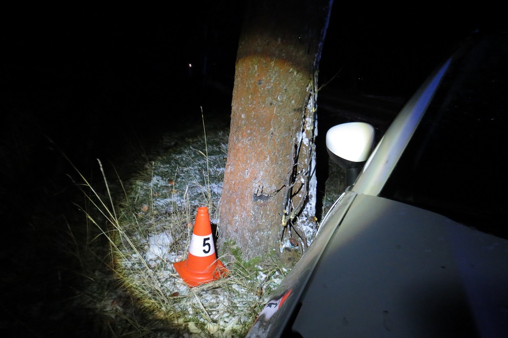 DN u Vitiněvse ze dne 02. 01. 2019