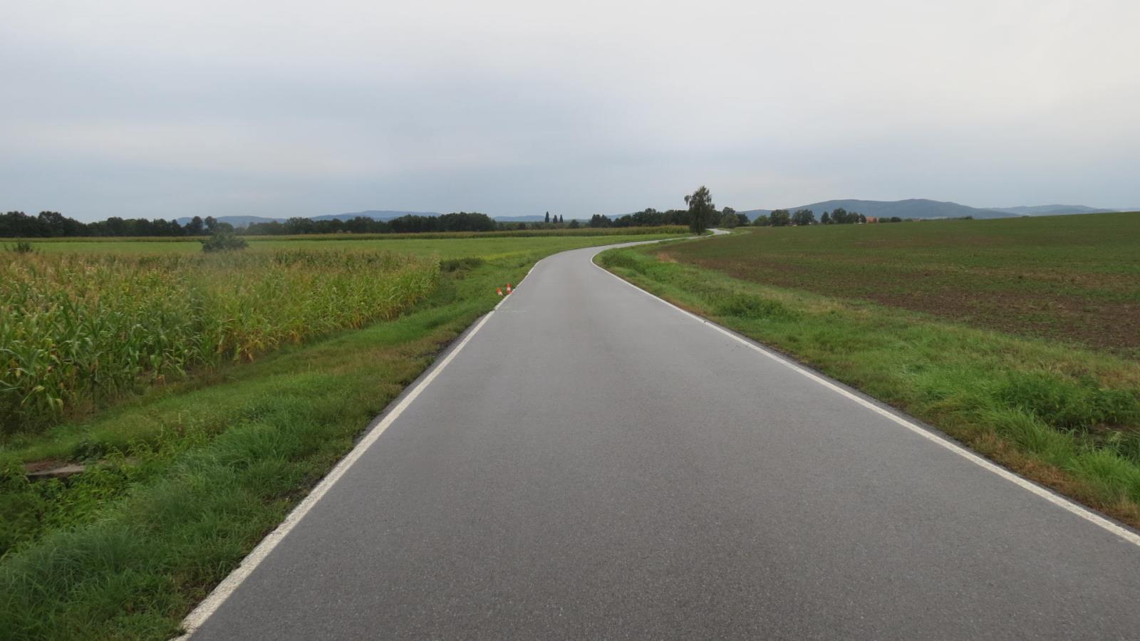 DN u obce Sedlec 6.9.2019