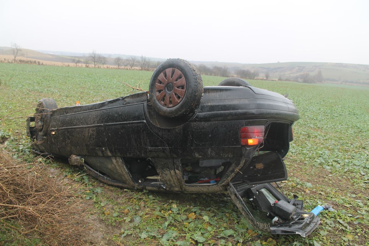 DN4.JPG