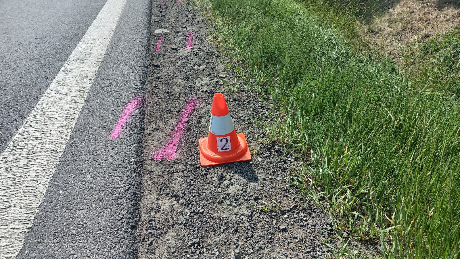 DN_Holubice  (5).jpg