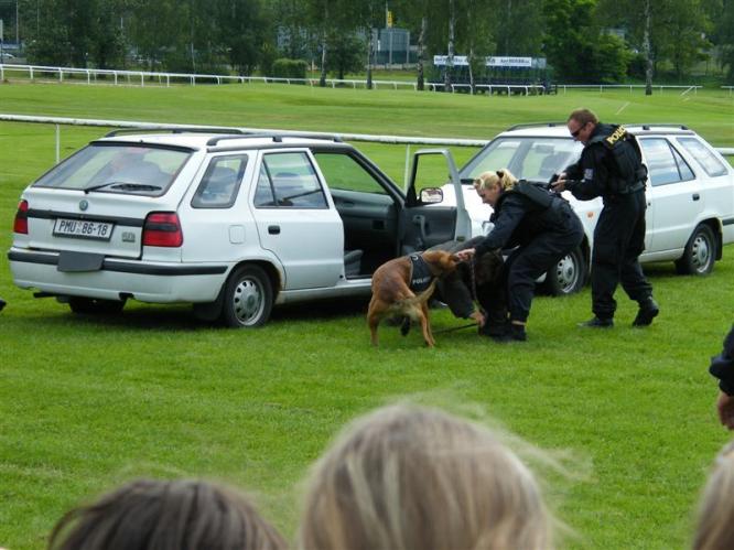 DSCF7885.JPG