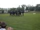 DSCN0663