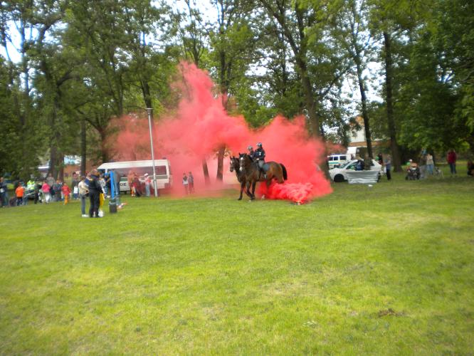 DSCN2682.jpg