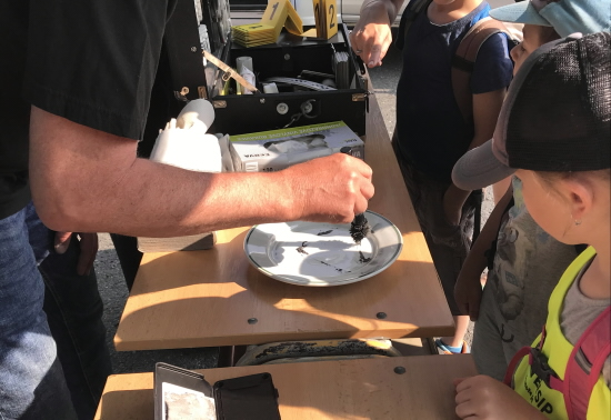 Den IZS 6.6.2019-2.JPG