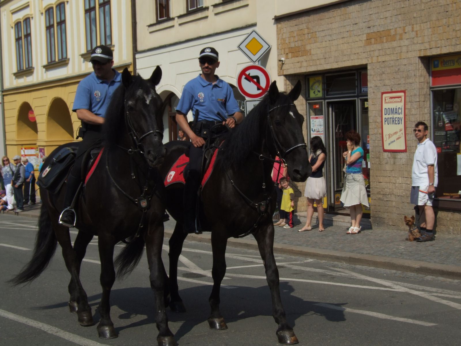 Den IZS Dobruška 2015