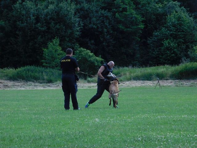 Den IZS v Libině