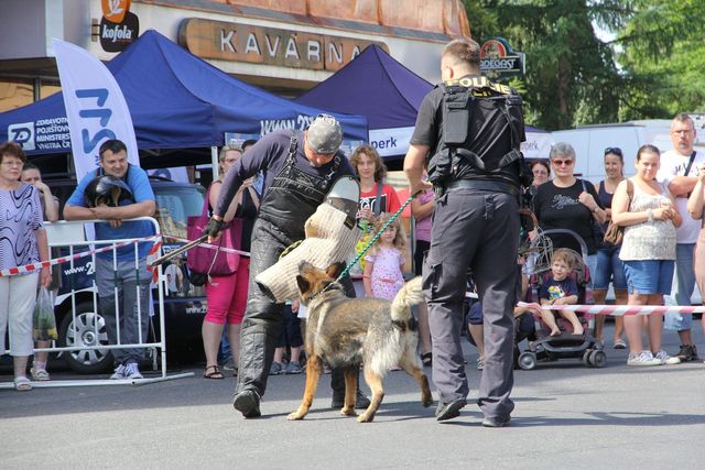 Den Policie ČR