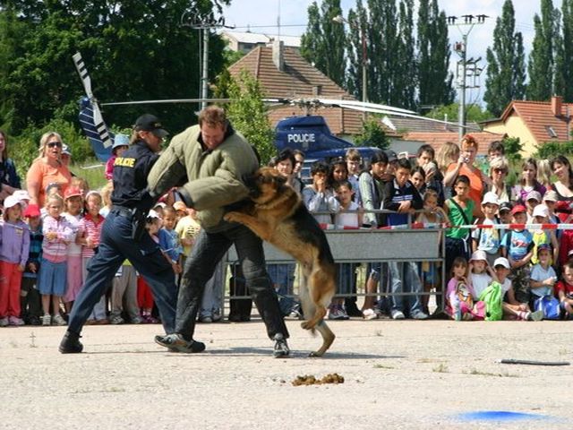 Den Policie CR 05