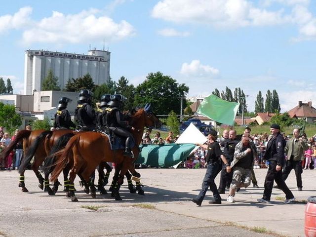 Den Policie CR 10