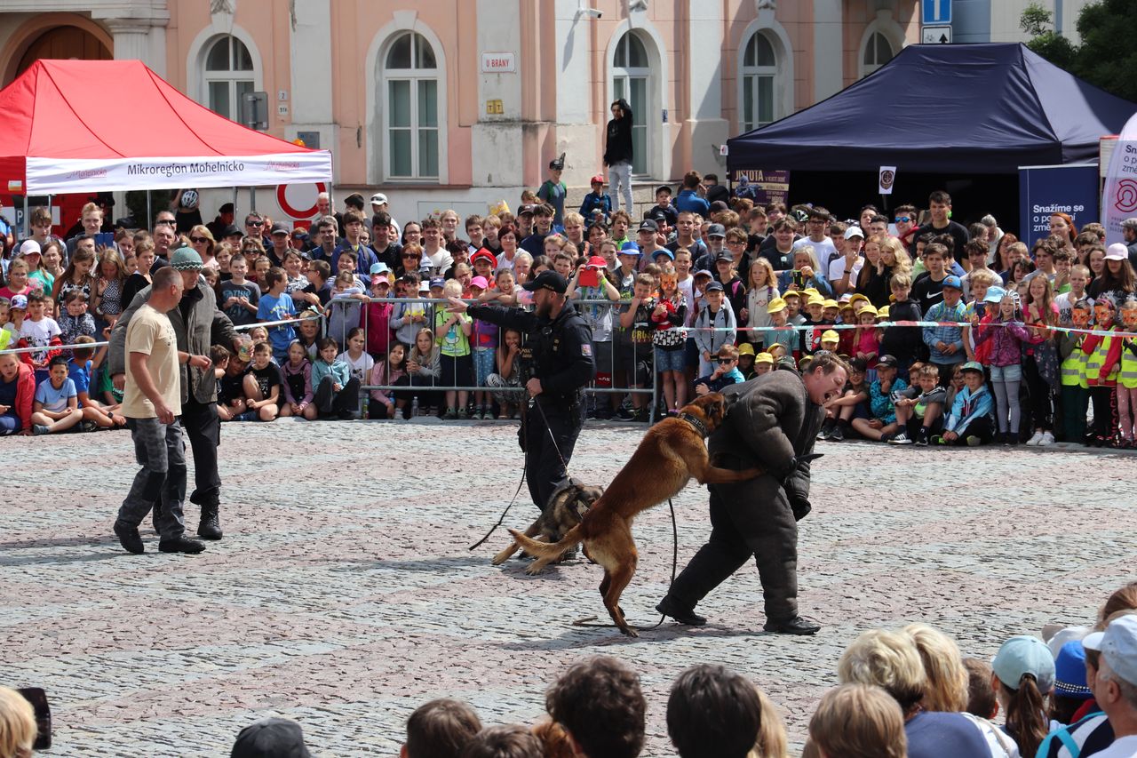 Den Policie ČR aneb IZS v akci