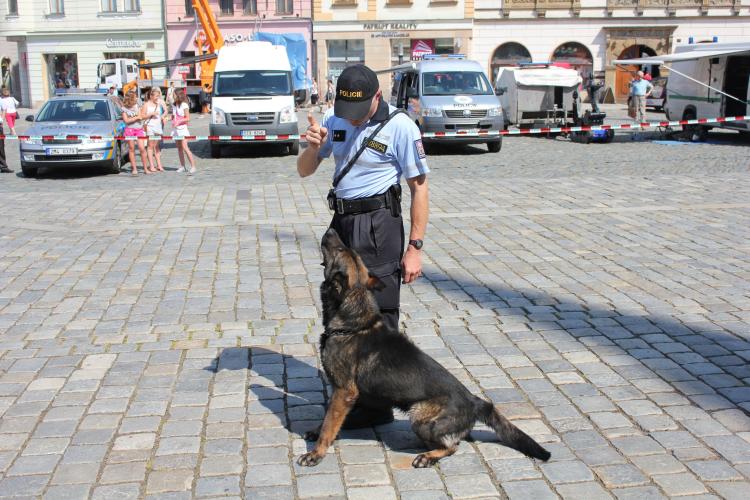 Den Policie ČR v Olomouci