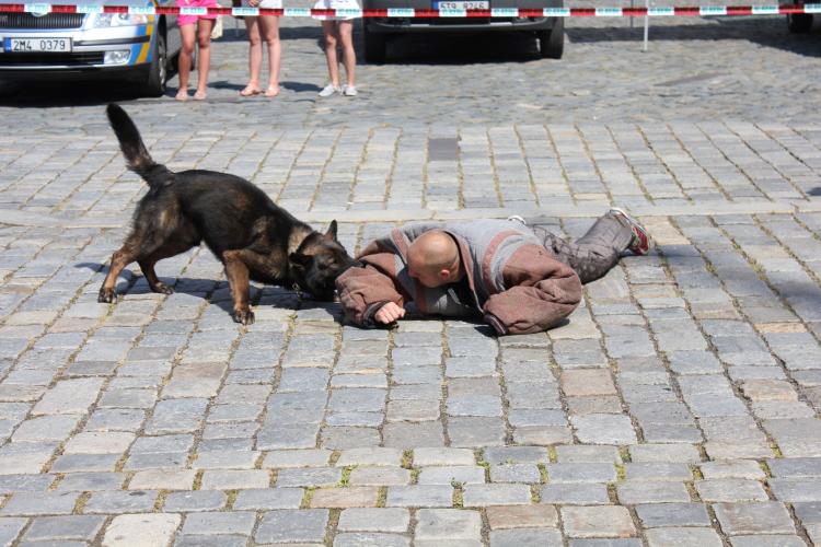 Den Policie ČR v Olomouci