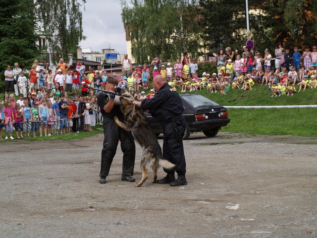 Den Policie České republiky