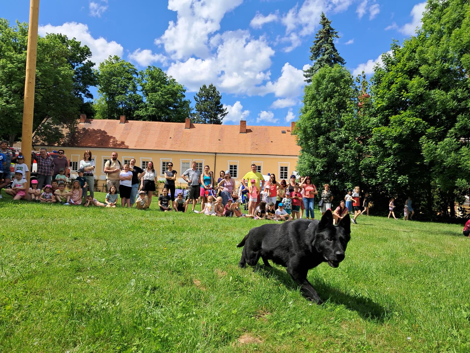 Den dětí Čestice