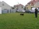 Den dětí ZŠ Košice  1. 6. 2011 - 05