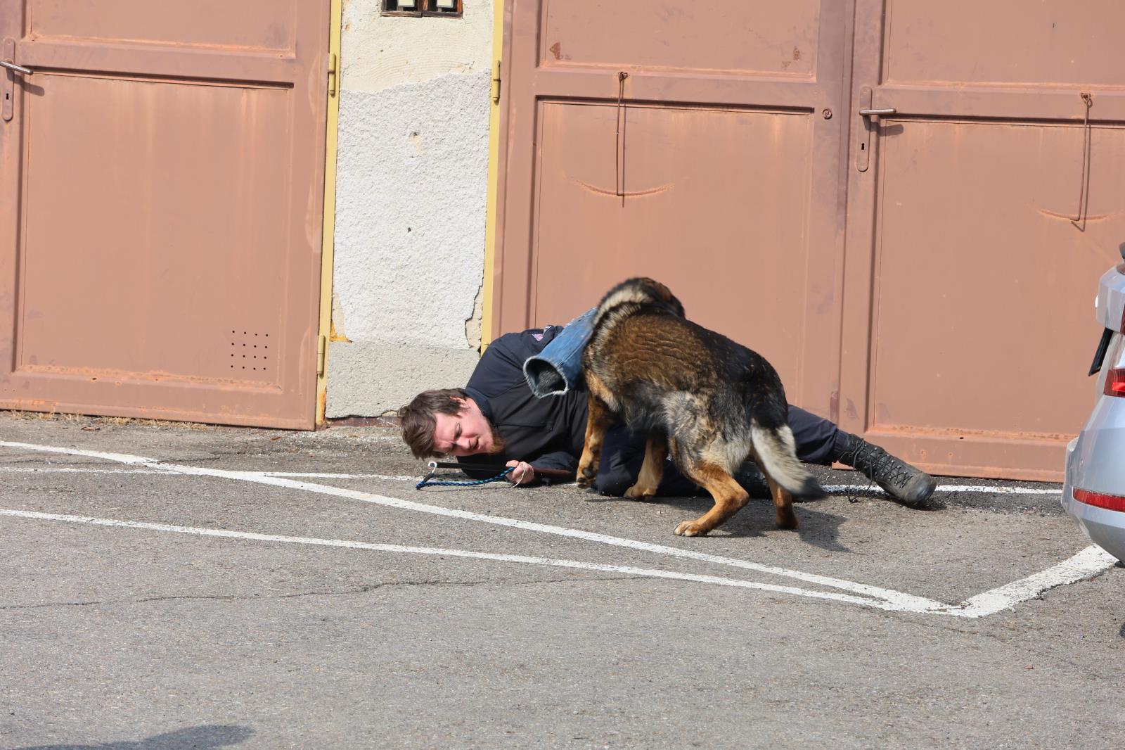 Den otevřených dveří