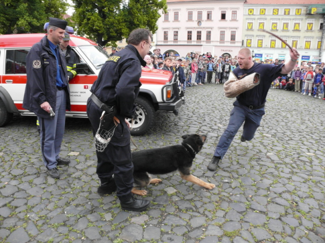 Den policie a IZS