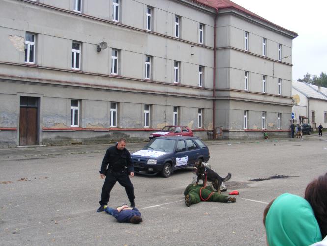 Den prevence 2014