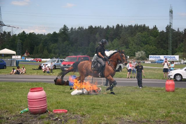 Den s policií 33