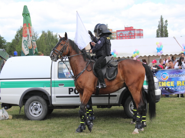 Den záchranářů 2017