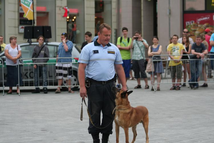 Den_policie_2013 051.JPG