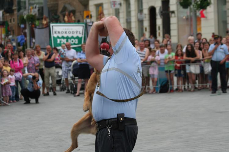 Den_policie_2013 057.JPG