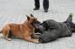 Den_policie_2013 076