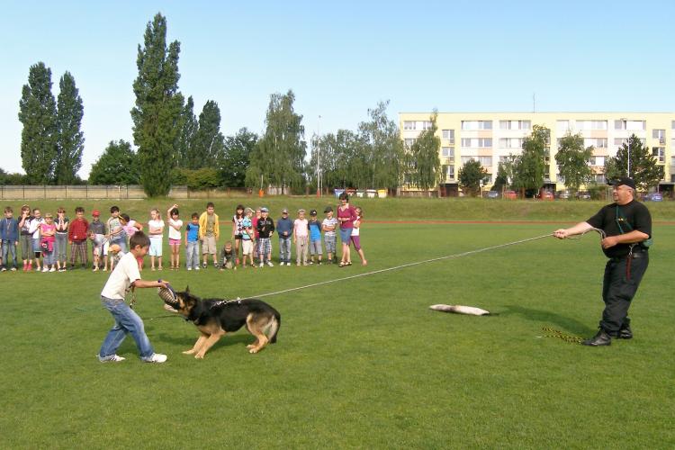 Dětem pes neublížil