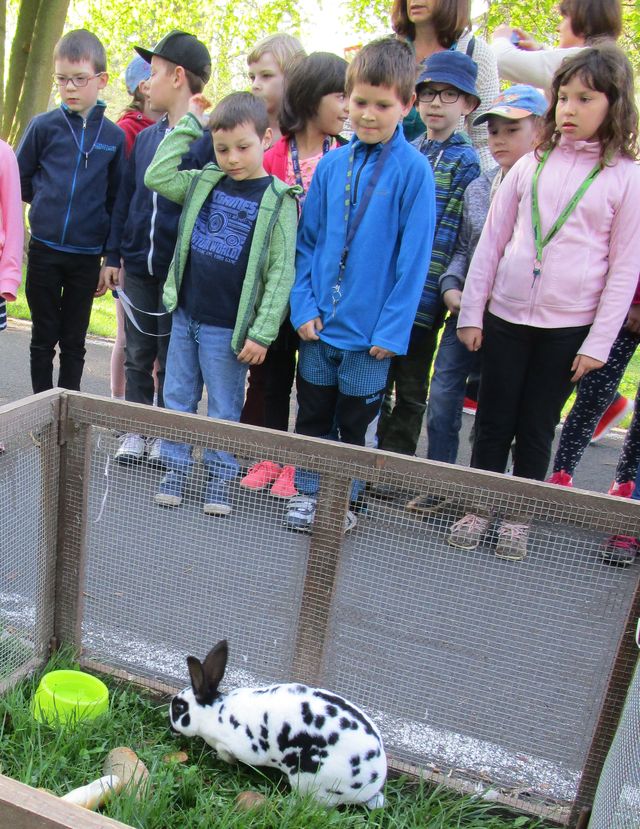 "Dětský den bez úrazů"
