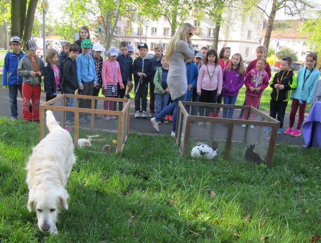 "Dětský den bez úrazů"