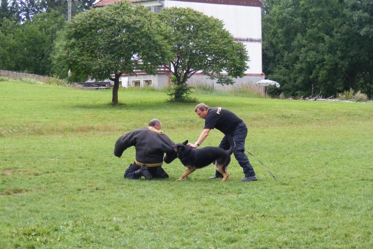 Dětský tábor Štědronín - 8. srpna 2011