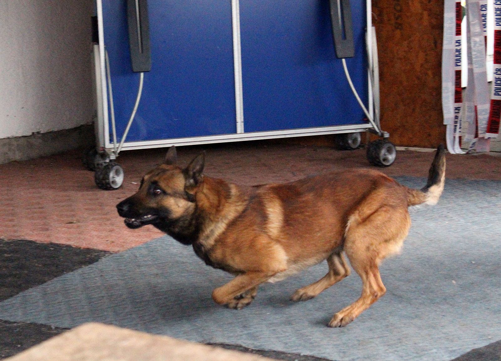 Dobrotice (7).jpg