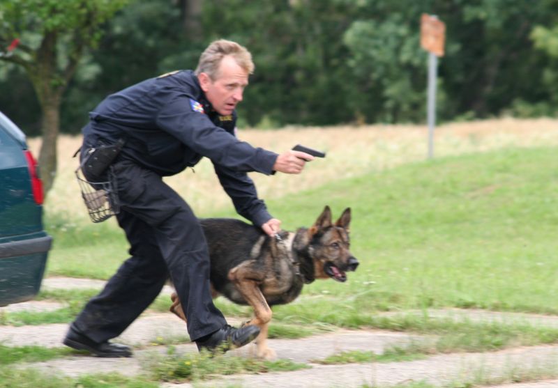 Dobrotice_psi (1).jpg