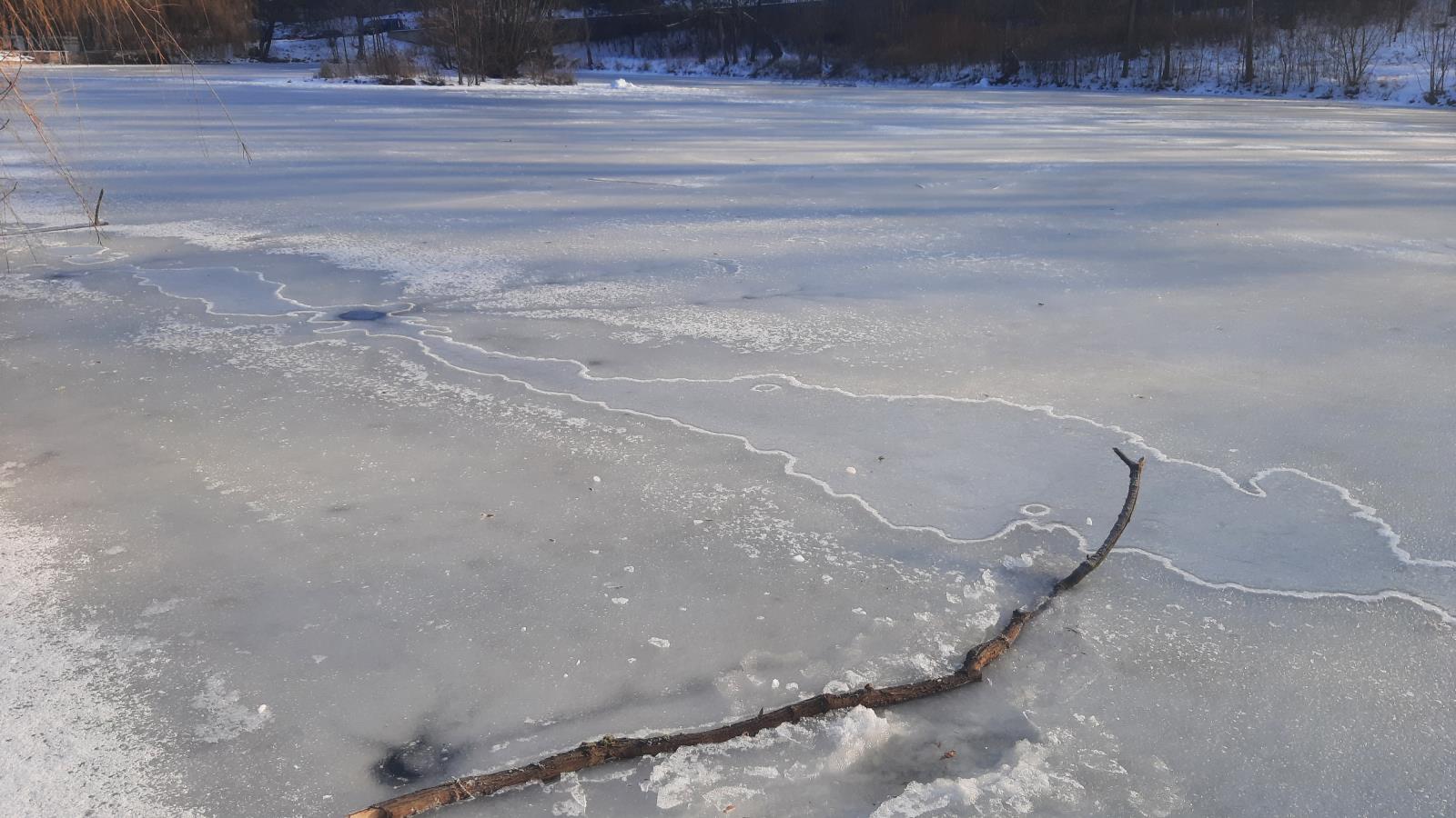 Dolní Zámecký rybník: