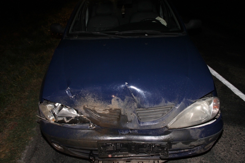 Dolní Bojanovice.JPG