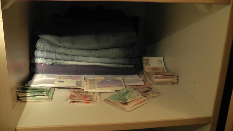 Domovní prohlídka I