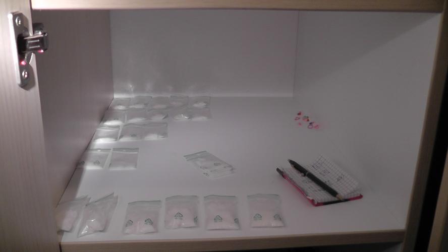 Domovní prohlídka II