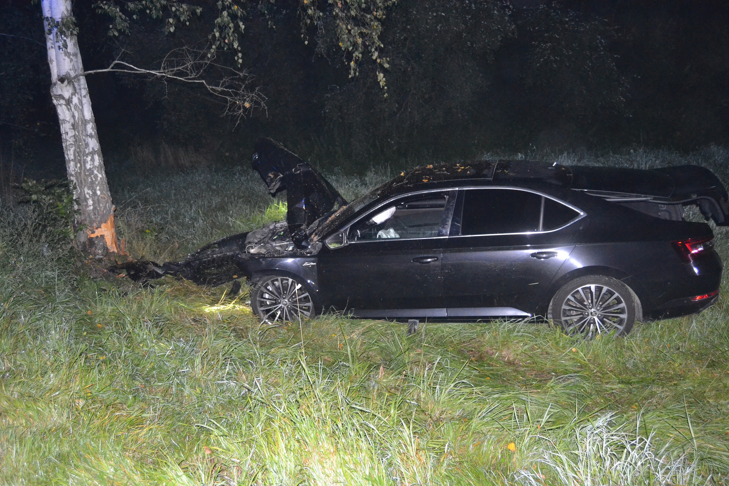 Dopravní nehoda (4)