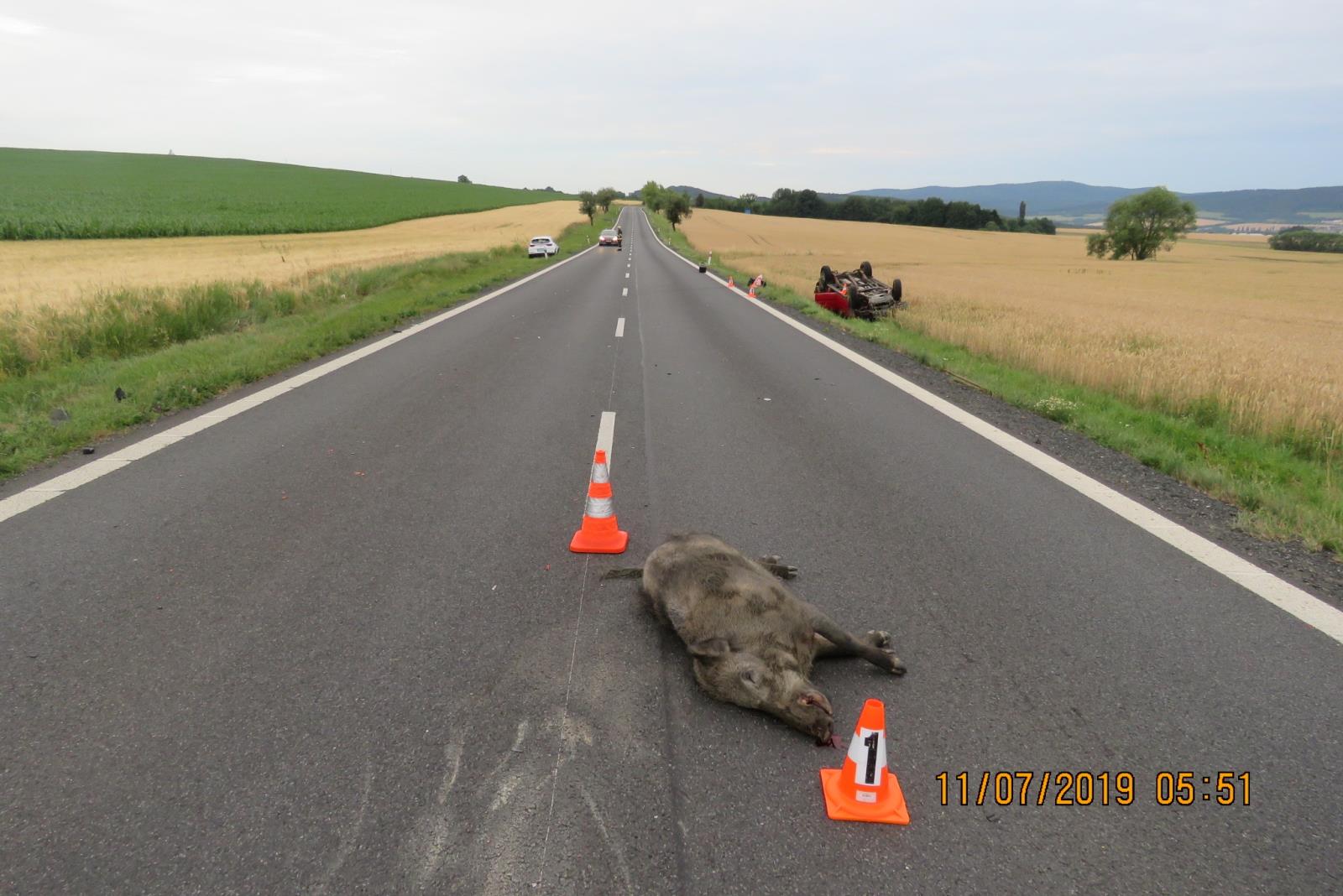 Dopravní nehoda - Draženov - 11.07.2019