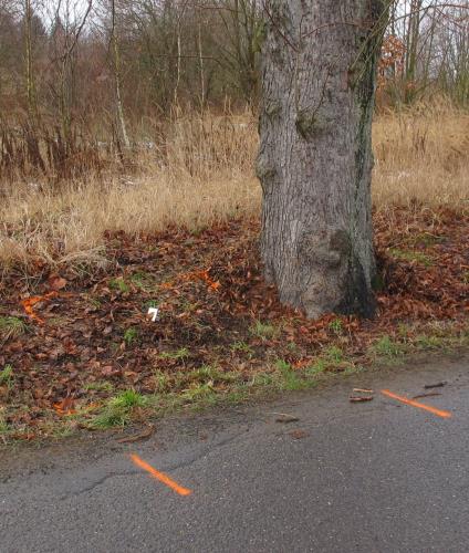 Dopravní nehoda Kamenice místo střetu