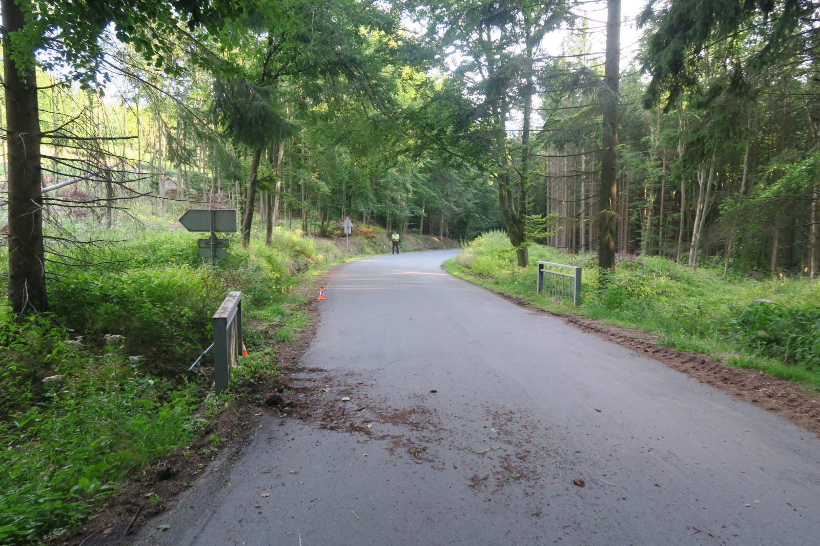 Dopravní nehoda - Kdyně - 10.08.2021