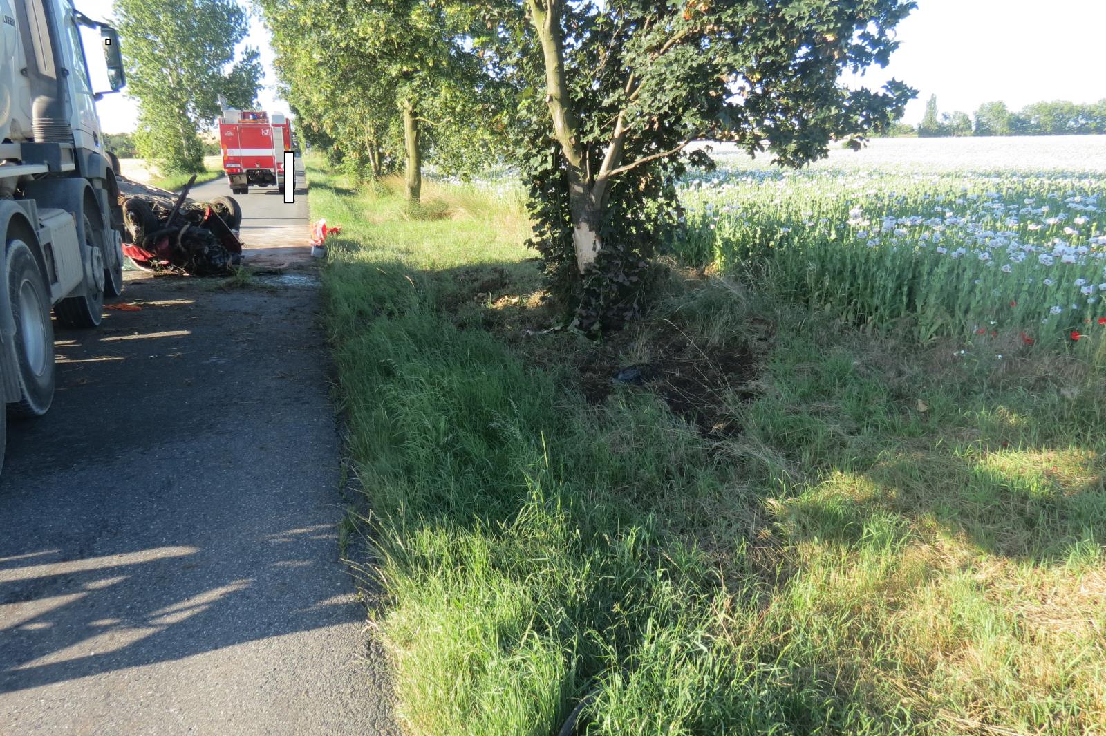 Dopravní nehoda - střet se stromem