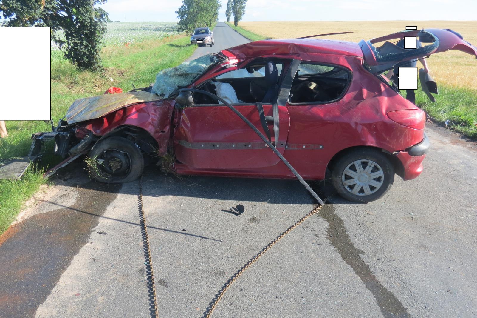 Dopravní nehoda - střet se stromem