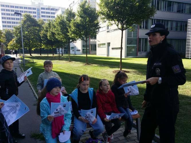 Doprovodný program kontrol