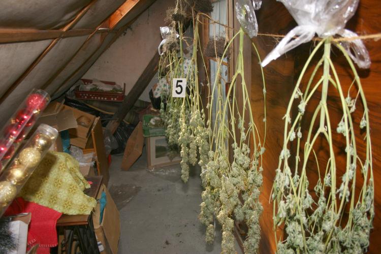 Drogy duben 2013 7.JPG