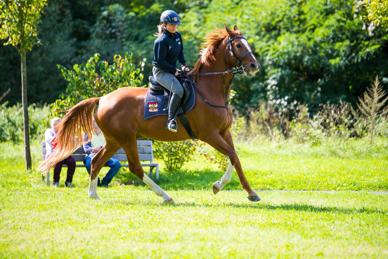 Evropský týden mobility 2020
