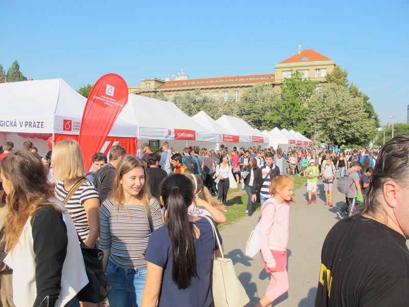 Festival vědy 43