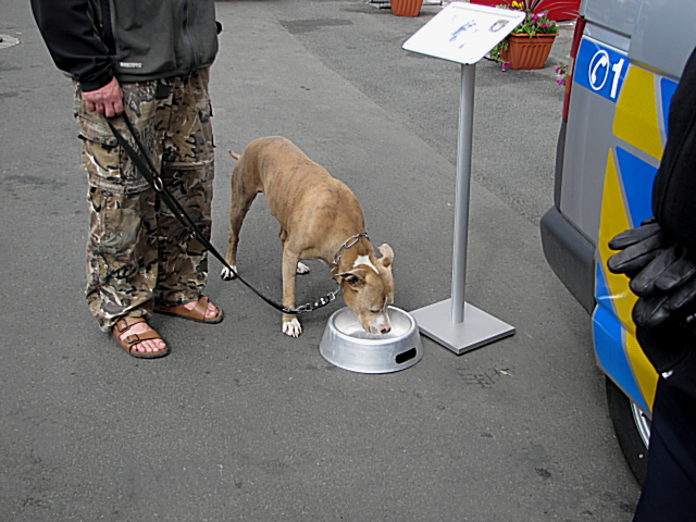 Filmový festival