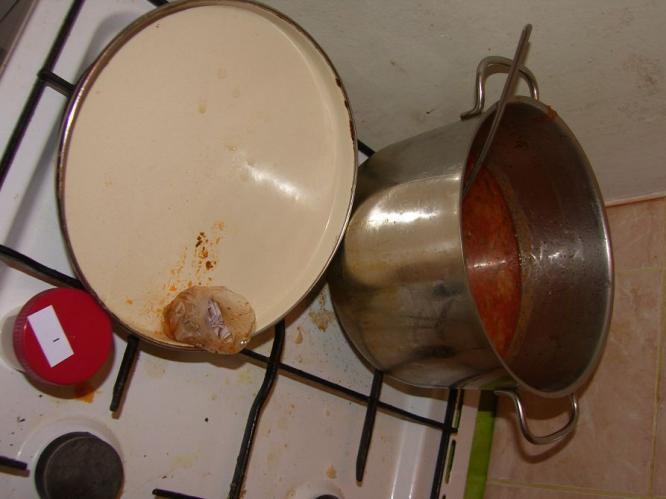 Foto 1.JPG